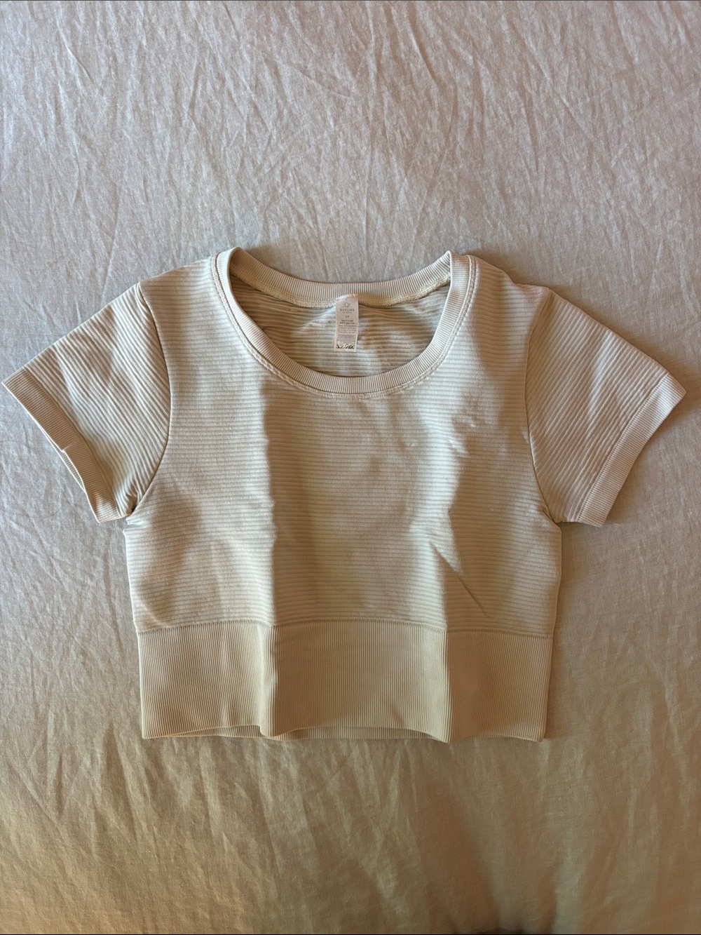 Aerie Seamless Ribbed Crop Top